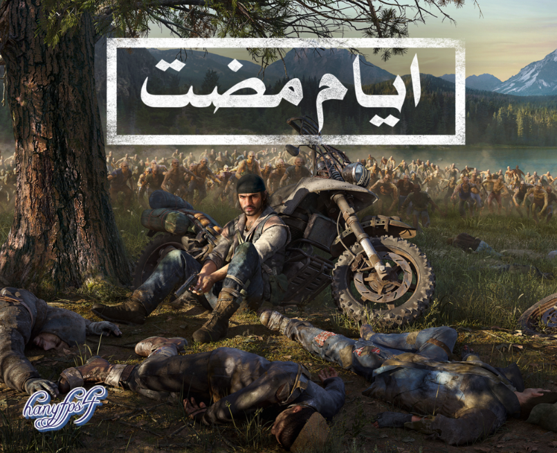 صورة 8